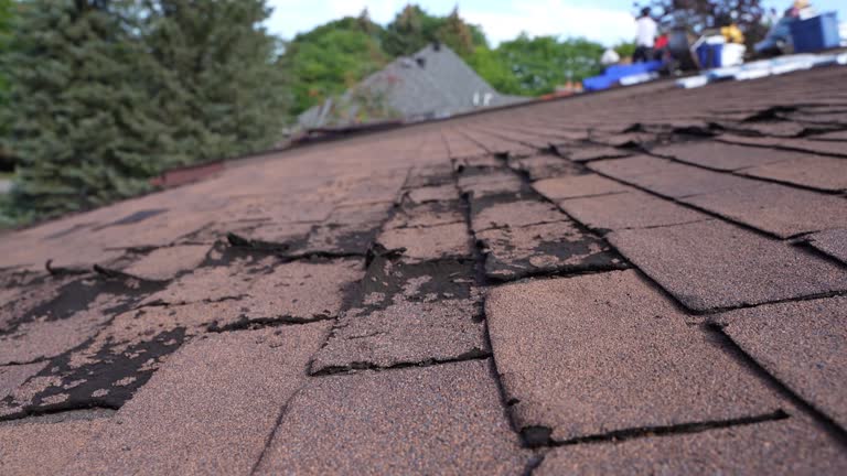 Best Green or Eco-Friendly Roofing Solutions  in Baywood Park, CA