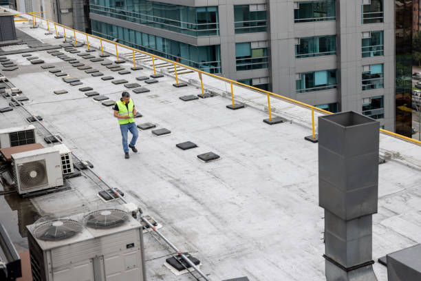 Best Steel Roofing  in Baywood Park, CA